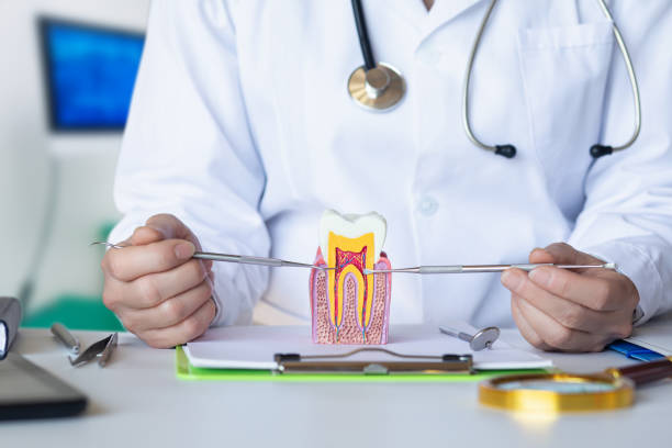 Best Knocked-Out Tooth Emergency  in Florence, AL